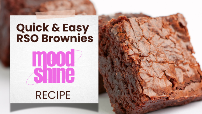 Quick and Easy RSO Brownies: Your Guide to Decadent Cannabis-Infused Chocolate Treats